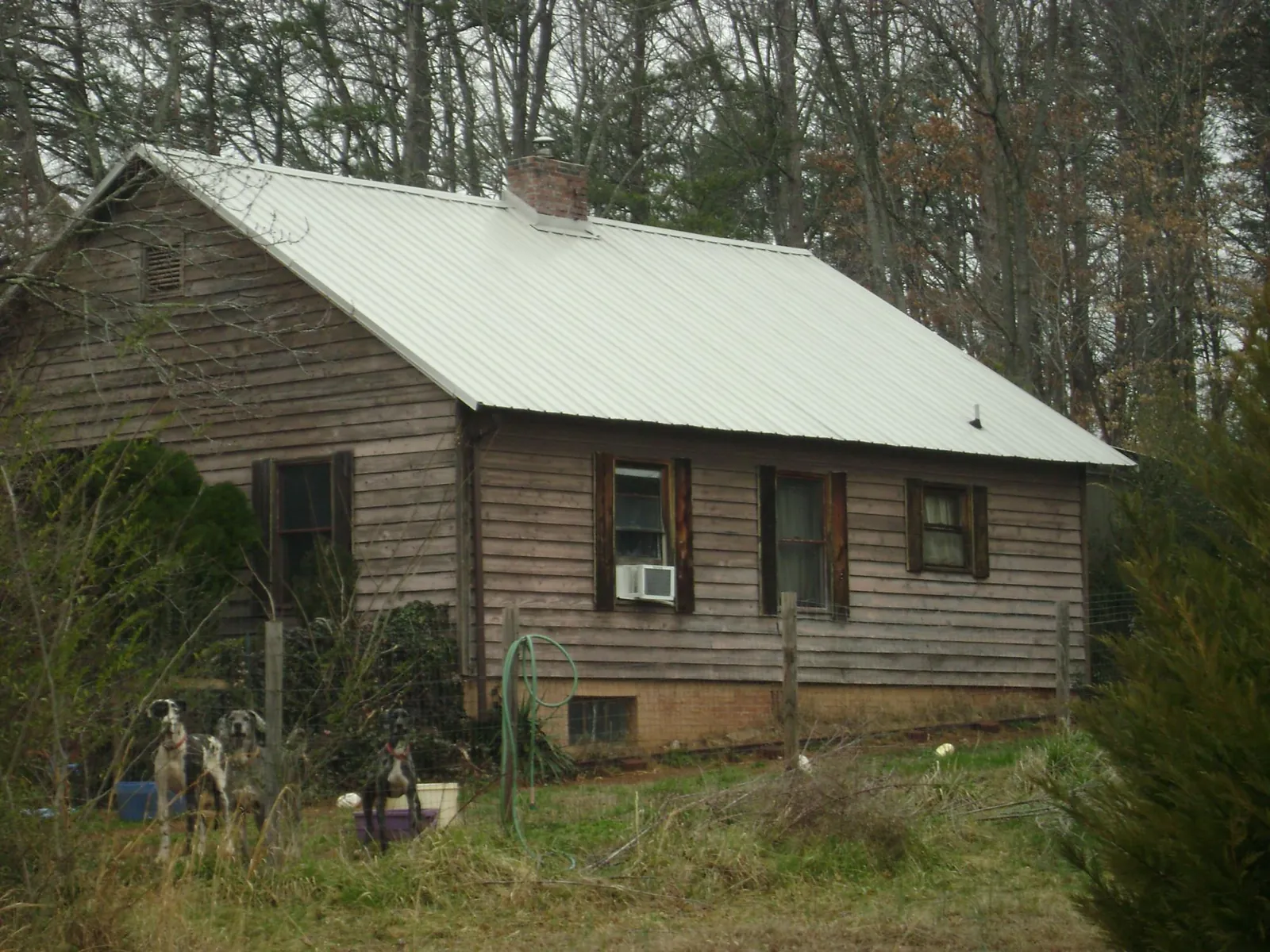 White metal roof on an old wood sided farmhouse, from a Asphalt Shingle Roof Repair job in Bohemia